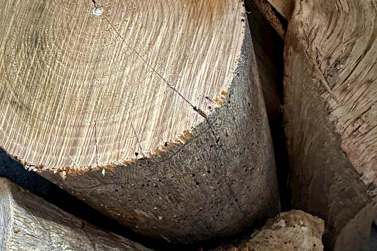 Brennholz zum Befeuern des HotTubs